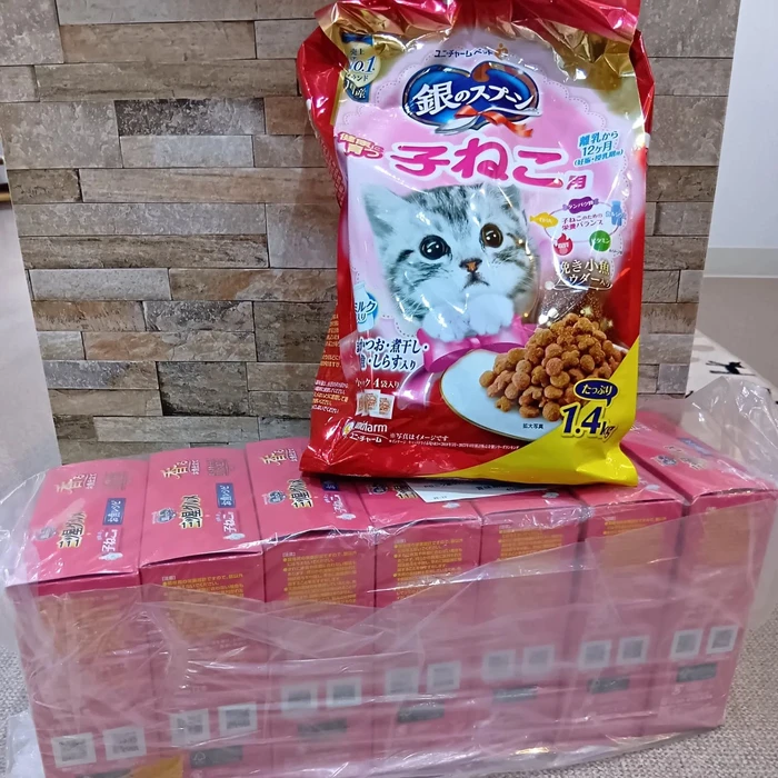 画像2084