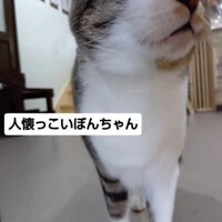 画像2089