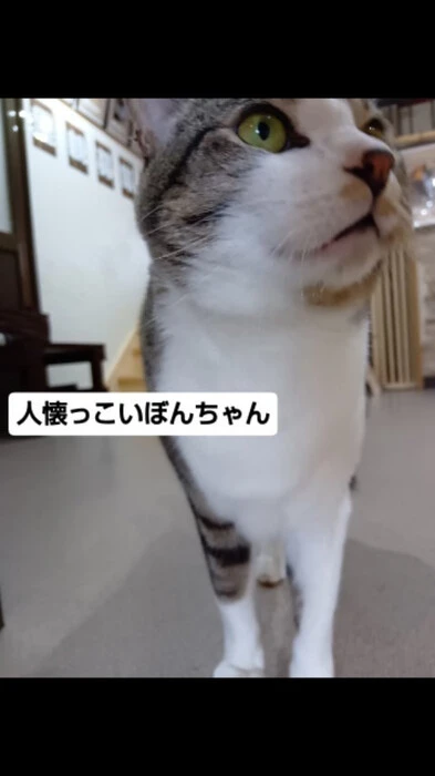 画像2089
