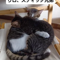 画像2091