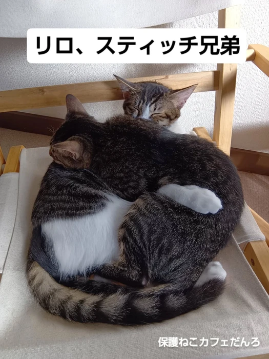 画像2091