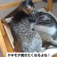 画像2096