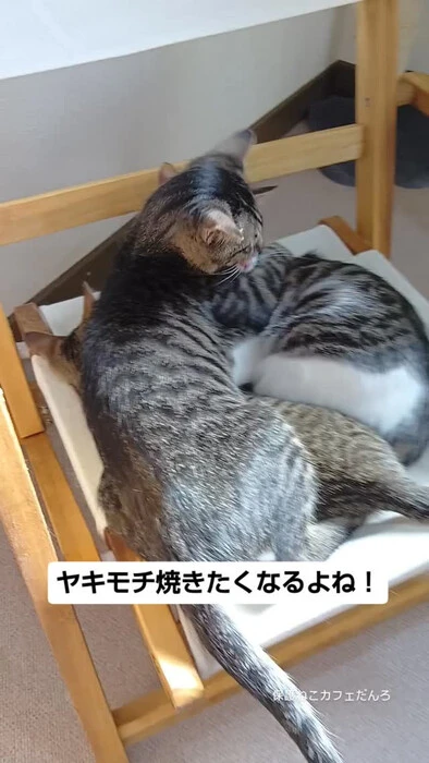 画像2096