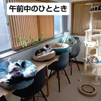 画像2098