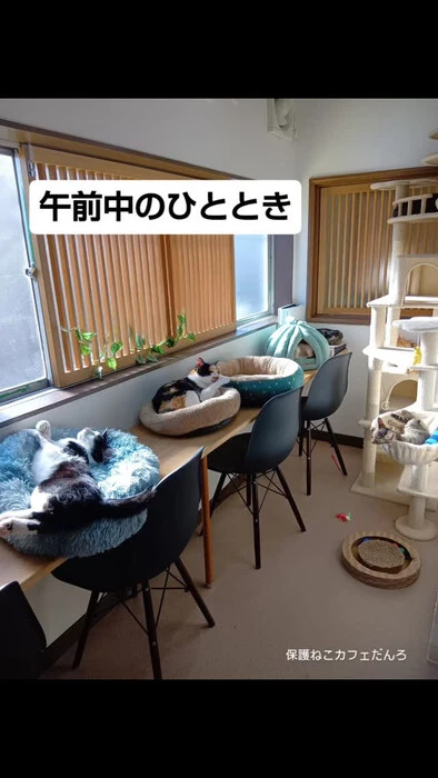 画像2098