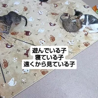 画像2100