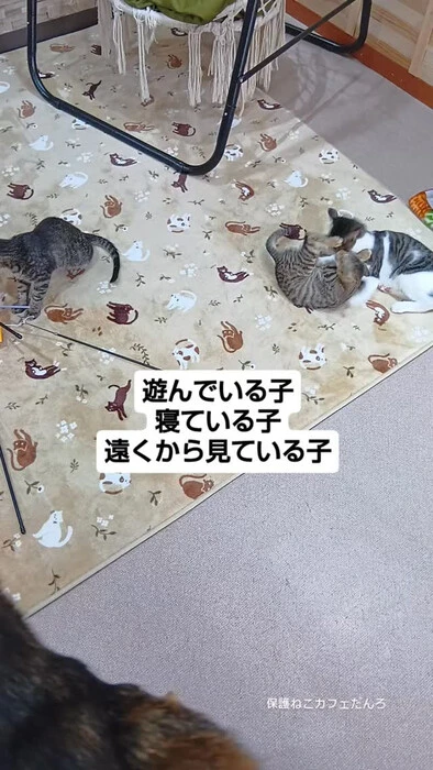 画像2100