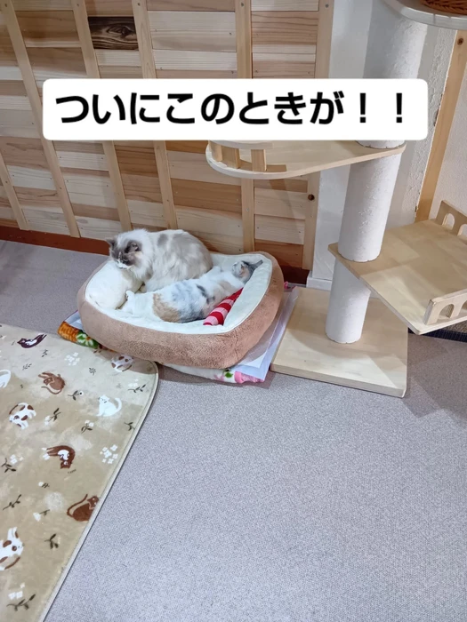 画像2102