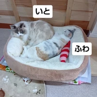 画像2103