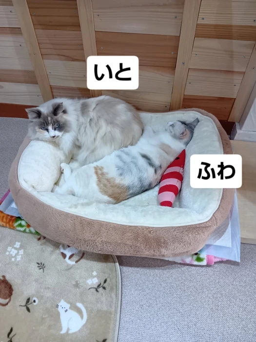 画像2103