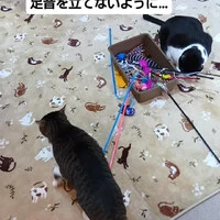 画像2107
