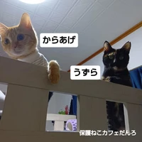 画像2109