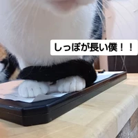 画像2112