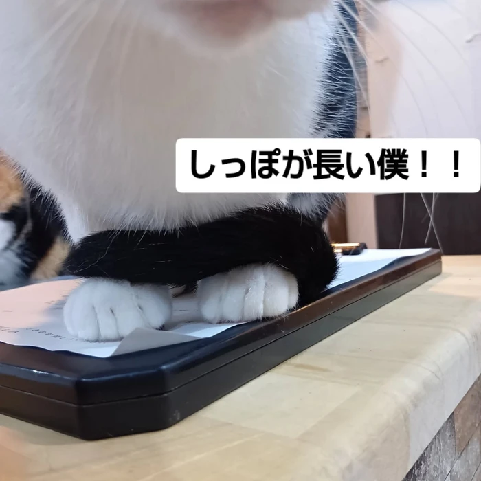 画像2112