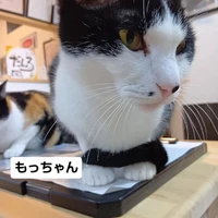 画像2114
