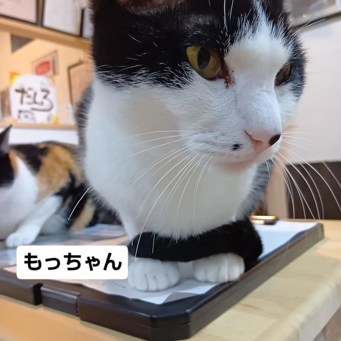 画像2114