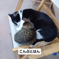 画像2120