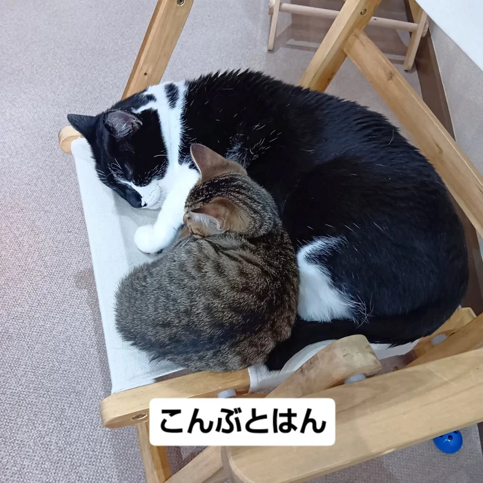 画像2120