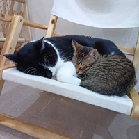 画像2122