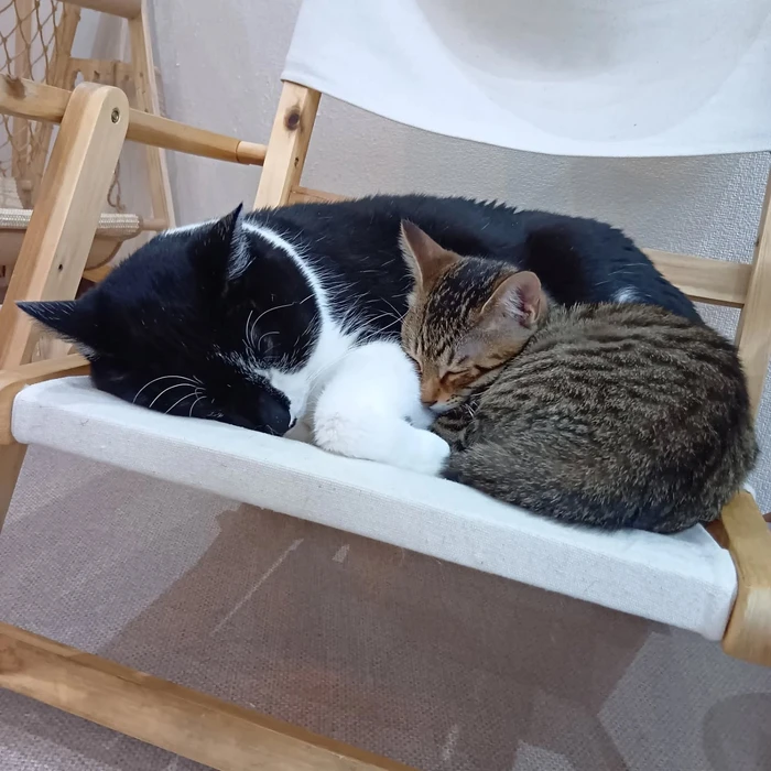 画像2122