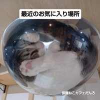 画像2128