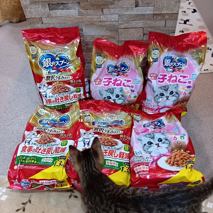 画像2131