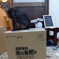 画像2132