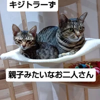 画像2141