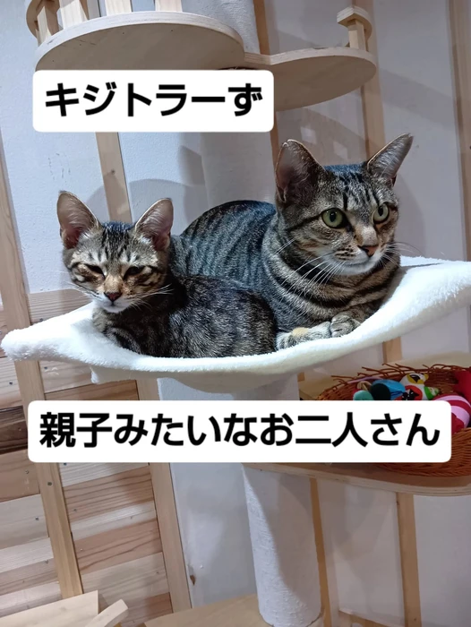 画像2141