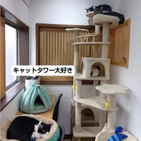 画像2144