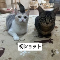 画像2147