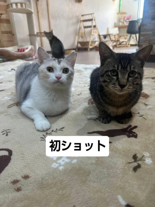 画像2147