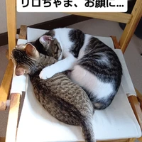 画像2157