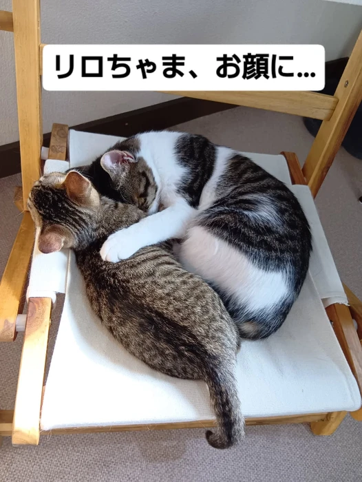 画像2157