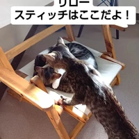 画像2158