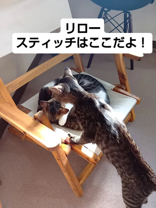 画像2158