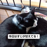 画像2163