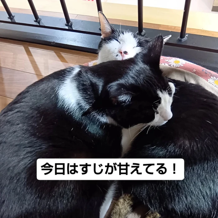 画像2163