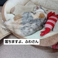 画像2167