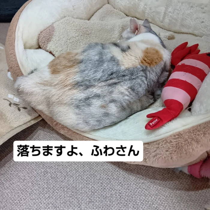 画像2167