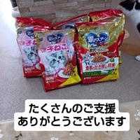 画像2195