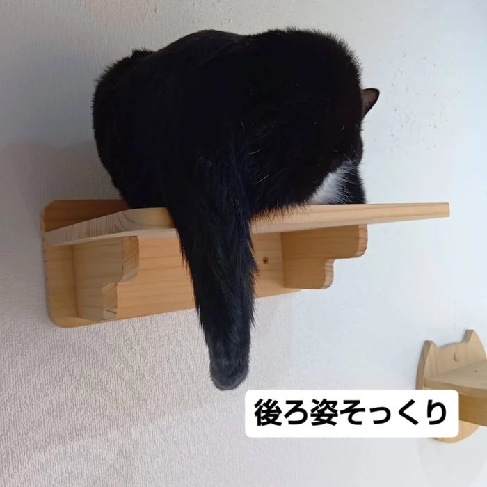 画像2203