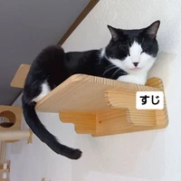 画像2204