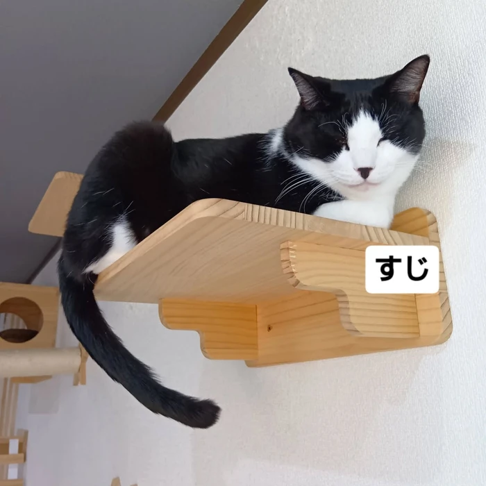 画像2204