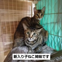 画像2208