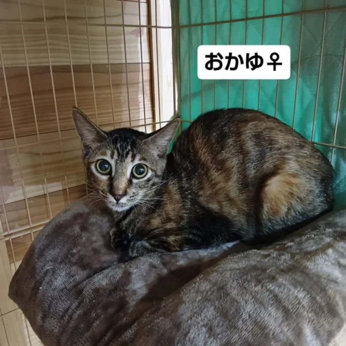 画像2210