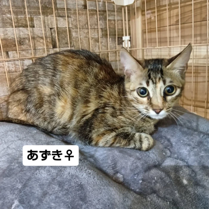 画像2211