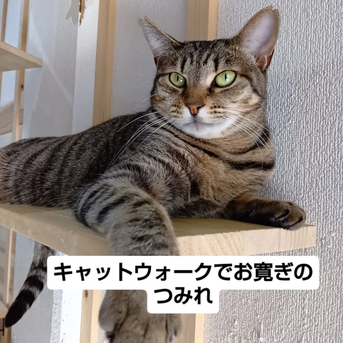画像2213