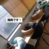画像2220