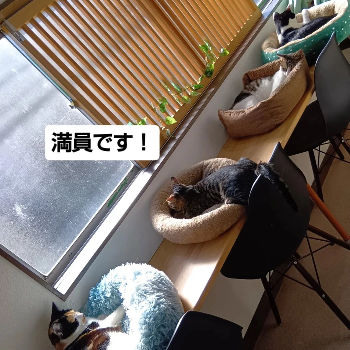 画像2220
